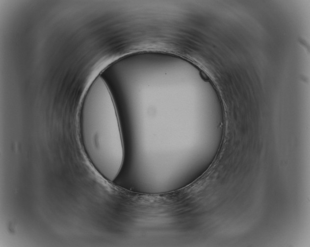 X0000092101056200709121106
