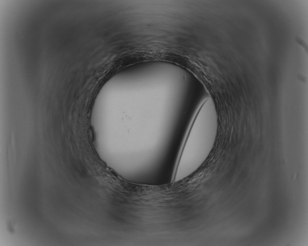 X0000092101057200709121105