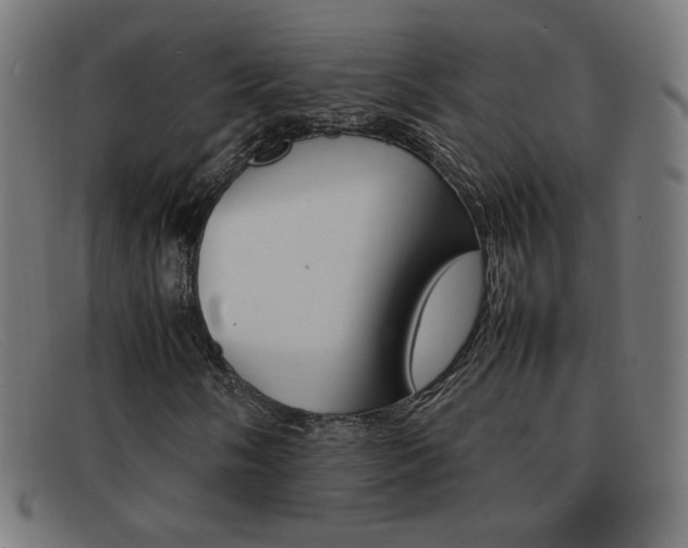 X0000092101058200709121105