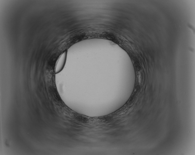 X0000092101059200709121105