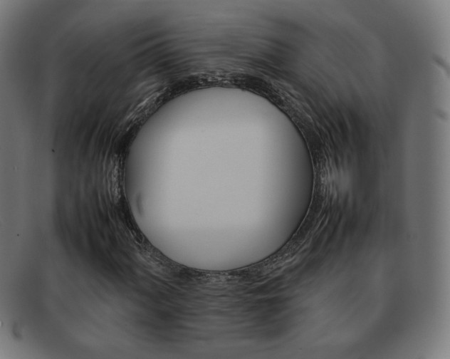 X0000092101060200709121105
