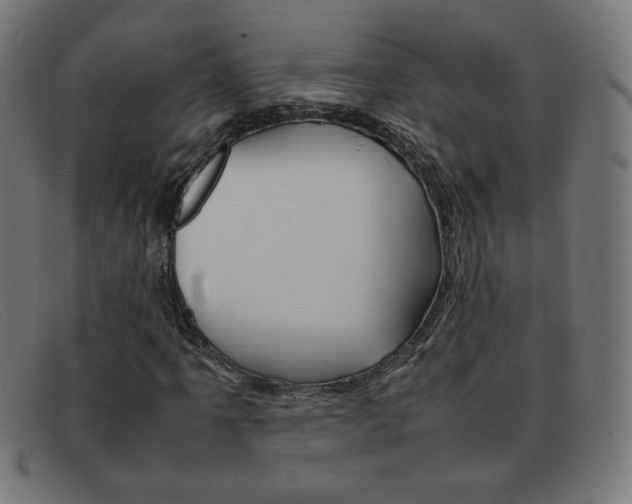 X0000092101061200709121105