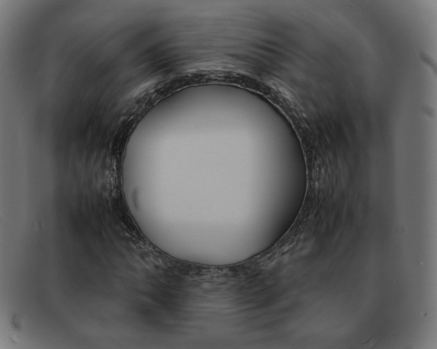X0000092101062200709121105