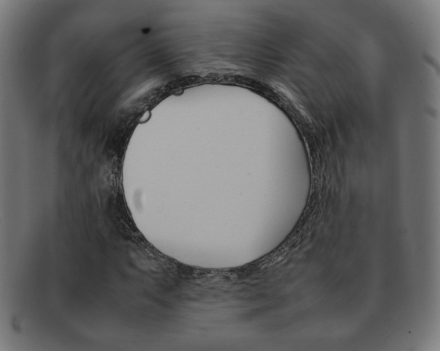 X0000092101063200709121105