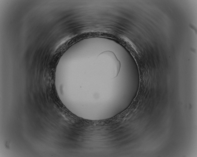 X0000092101064200709121105