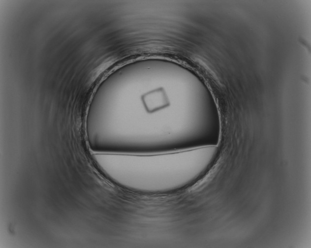 X0000092101065200709121105