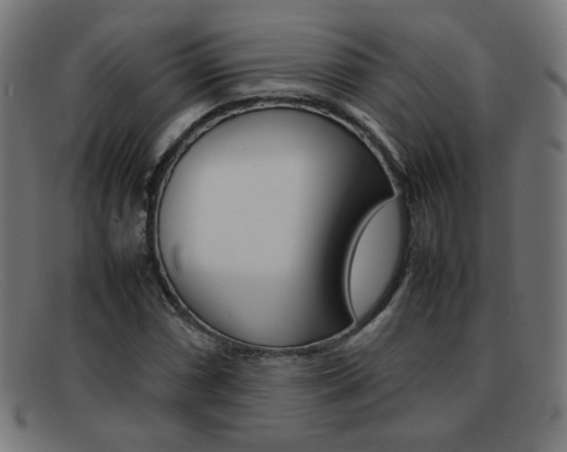 X0000092101066200709121105
