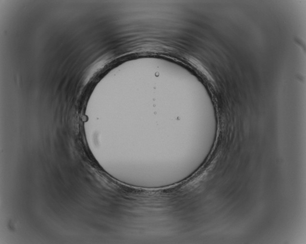 X0000092101067200709121105