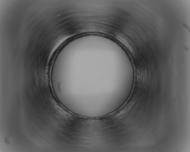 X0000092101068200709121105