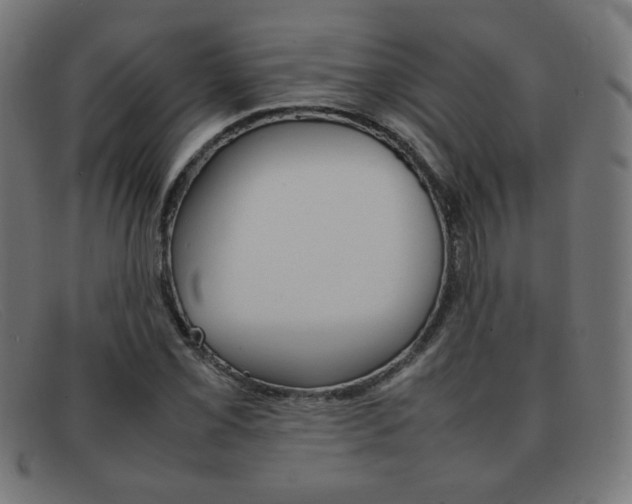 X0000092101069200709121105