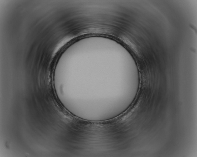 X0000092101070200709121105