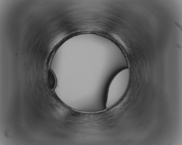 X0000092101071200709121105