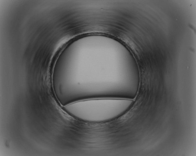 X0000092101072200709121105