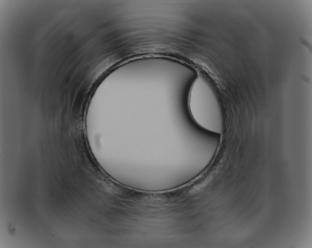 X0000092101073200709121105