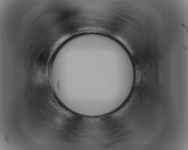 X0000092101074200709121105