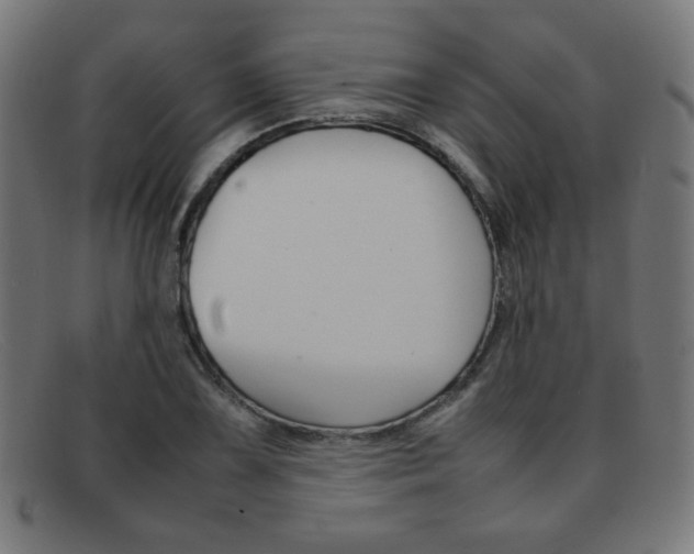 X0000092101075200709121105