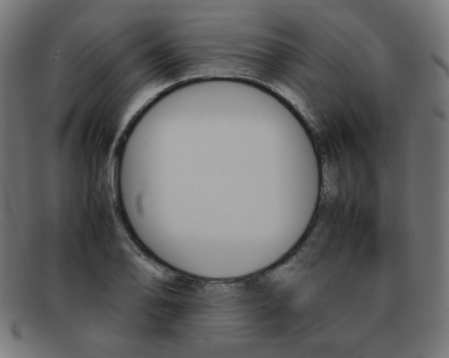 X0000092101078200709121105