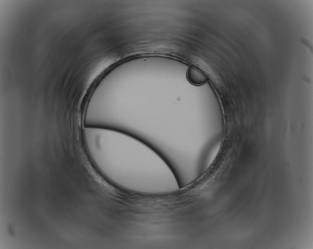 X0000092101079200709121105