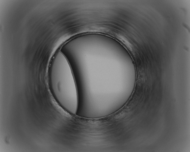 X0000092101080200709121105