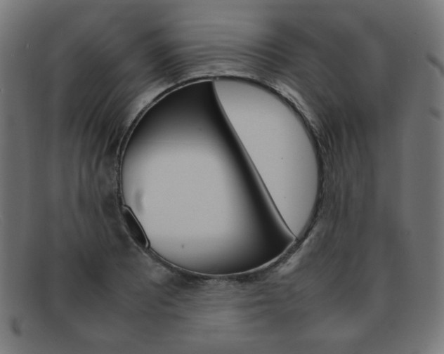 X0000092101081200709121105
