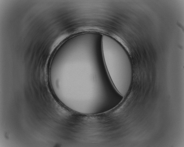 X0000092101082200709121105