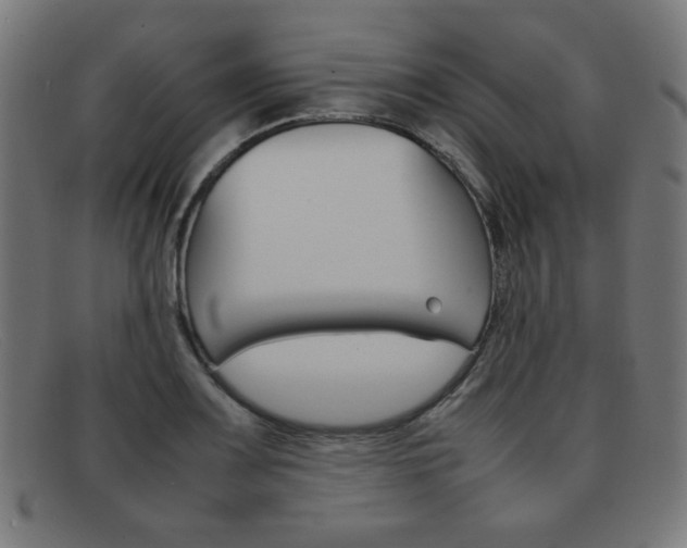 X0000092101083200709121105