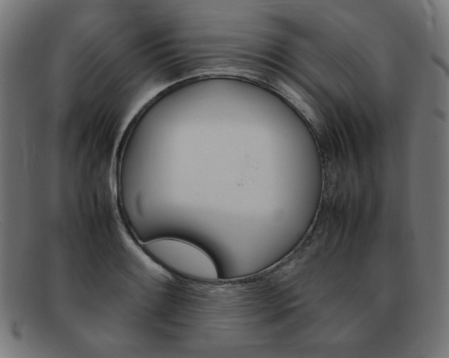X0000092101084200709121104