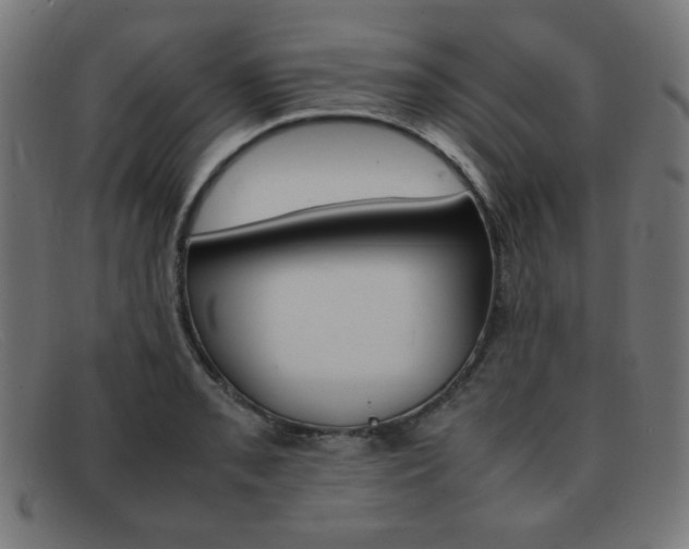 X0000092101085200709121104