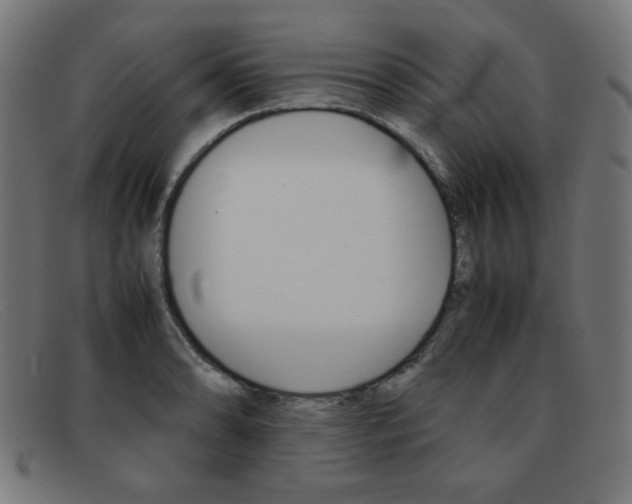 X0000092101086200709121104