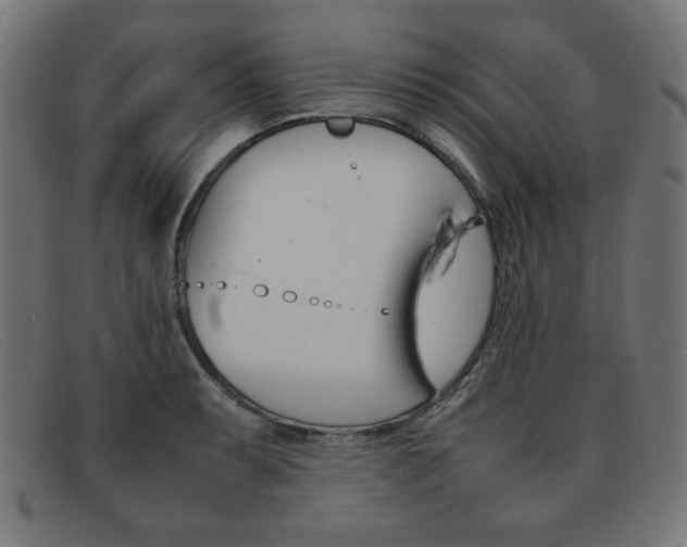 X0000092101087200709121104
