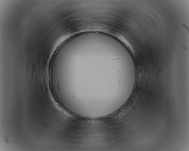 X0000092101088200709121104