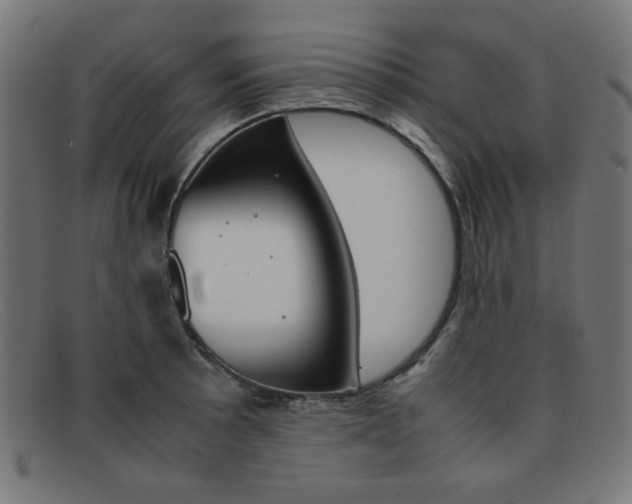 X0000092101089200709121104