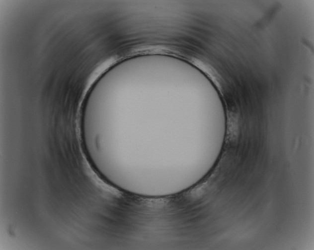 X0000092101090200709121104