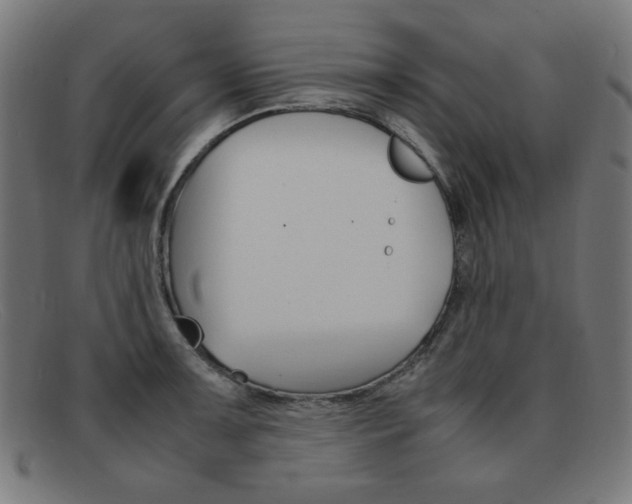 X0000092101091200709121104
