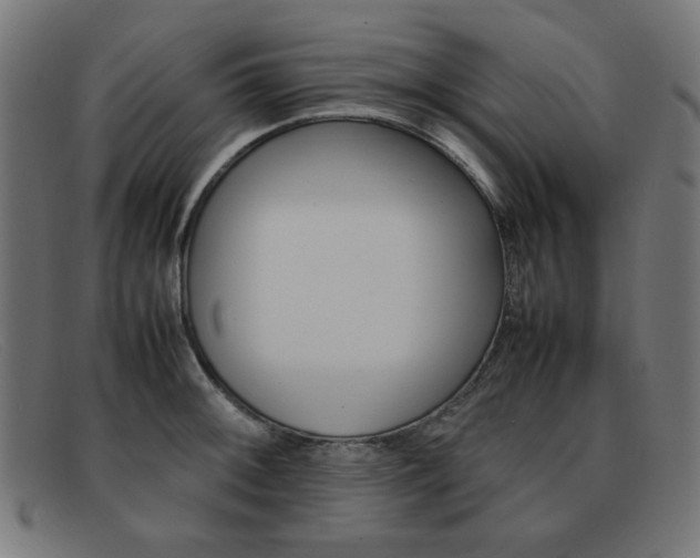 X0000092101092200709121104