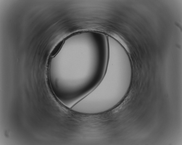 X0000092101093200709121104