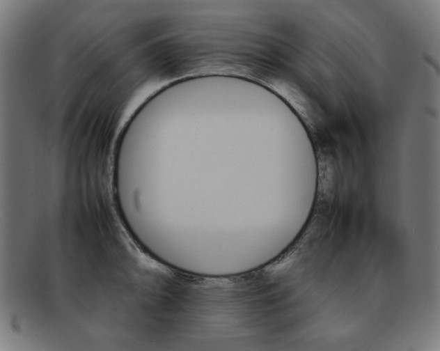 X0000092101094200709121104