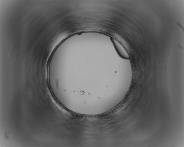 X0000092101095200709121104