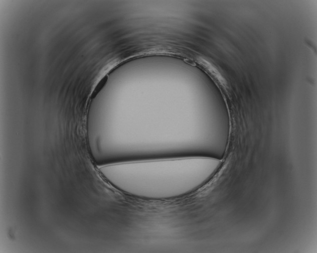 X0000092101097200709121104