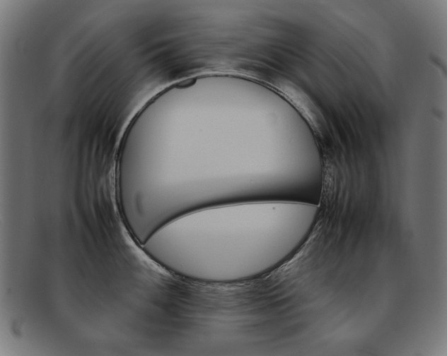 X0000092101100200709121104