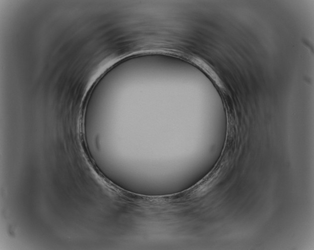 X0000092101101200709121104
