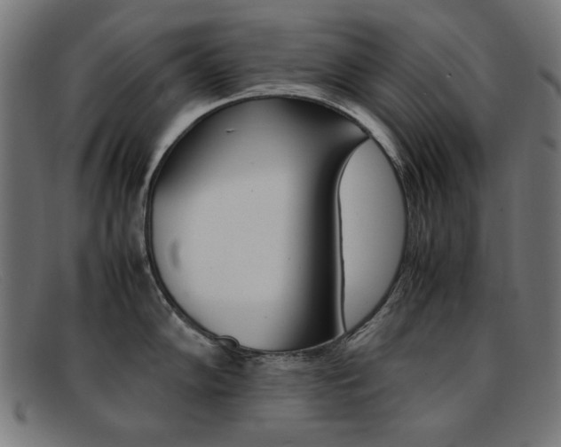 X0000092101102200709121104