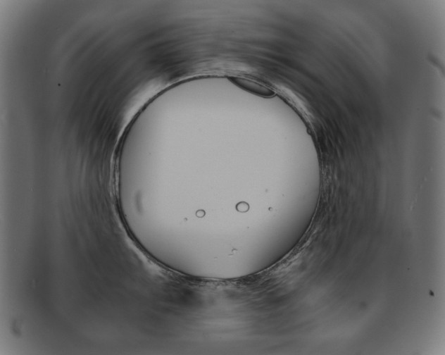 X0000092101103200709121104