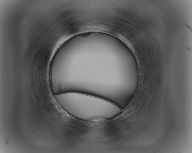 X0000092101104200709121104