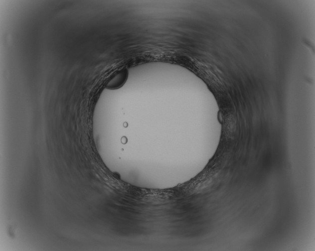 X0000092101105200709121104