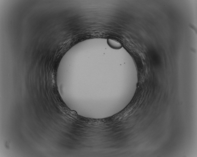 X0000092101106200709121104