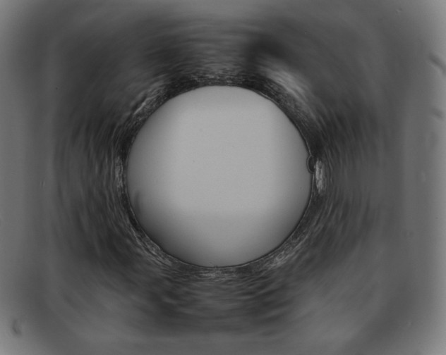 X0000092101107200709121104