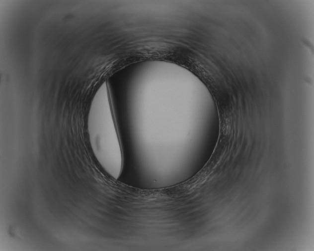 X0000092101108200709121104