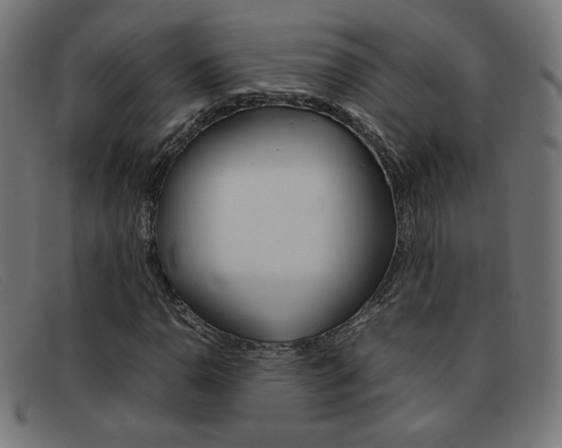 X0000092101110200709121104