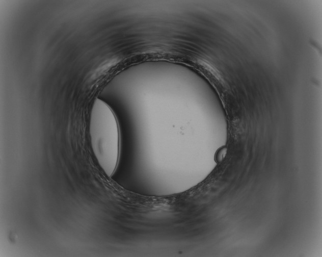 X0000092101111200709121104
